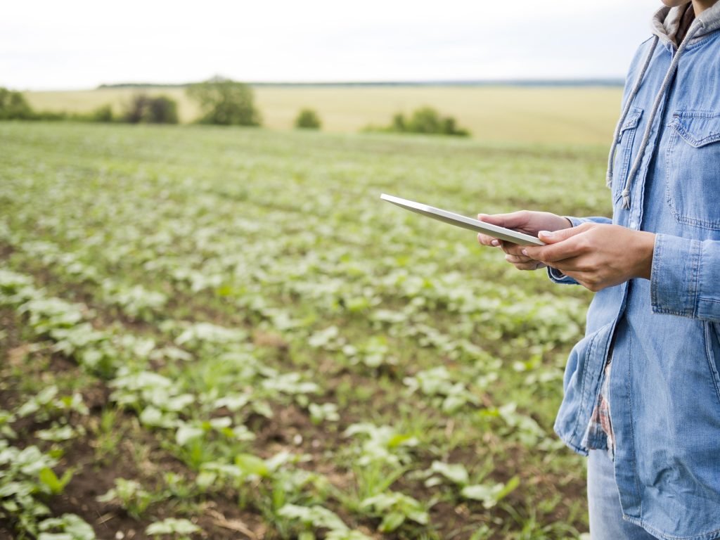 Desafios-e-oportunidades-no-agronegocio-em-2025