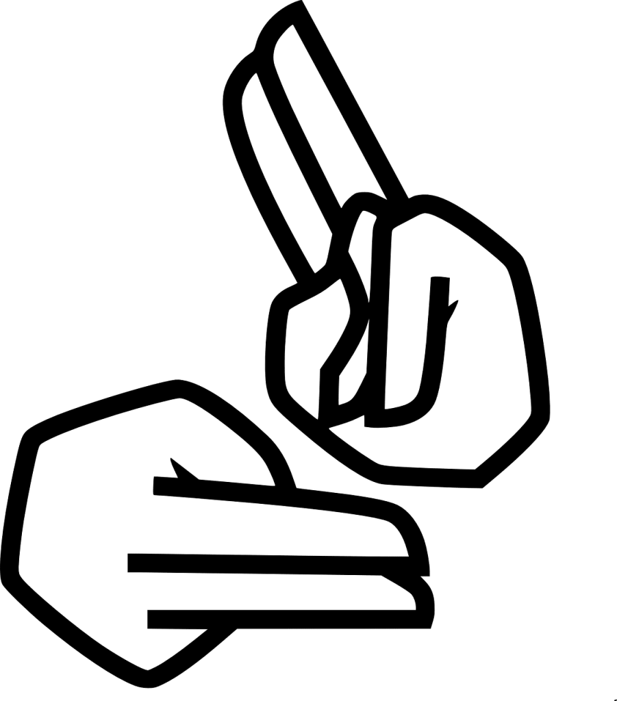 surdez, intérprete, linguagem de sinais