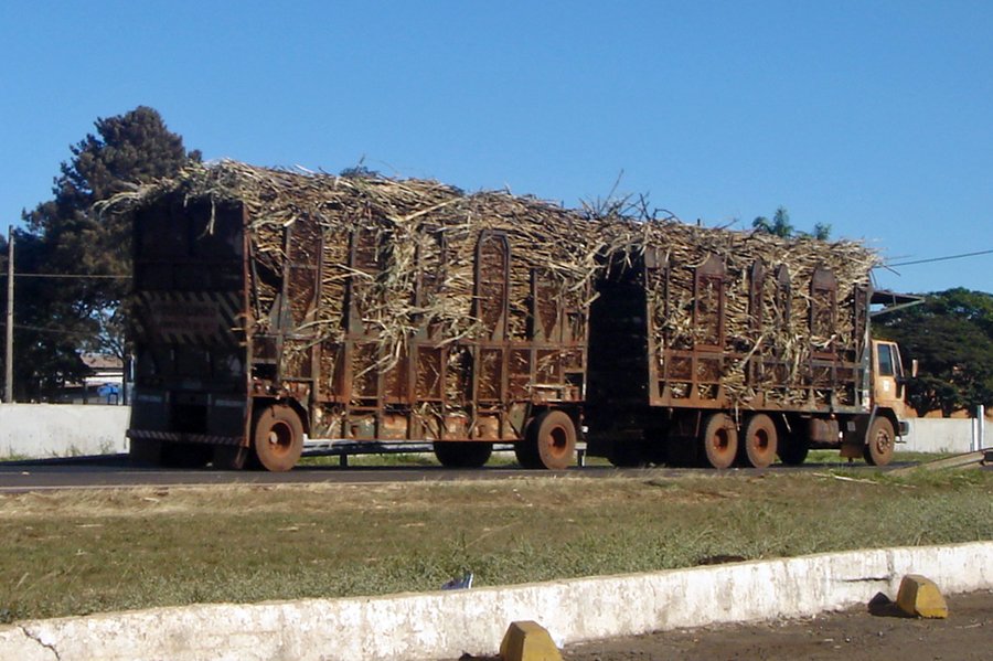 SAO_07_2008_299_sugar_cane_harvest_transport