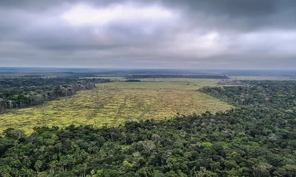 área de preservação ambiental em MT. Foto: Polícia Federal