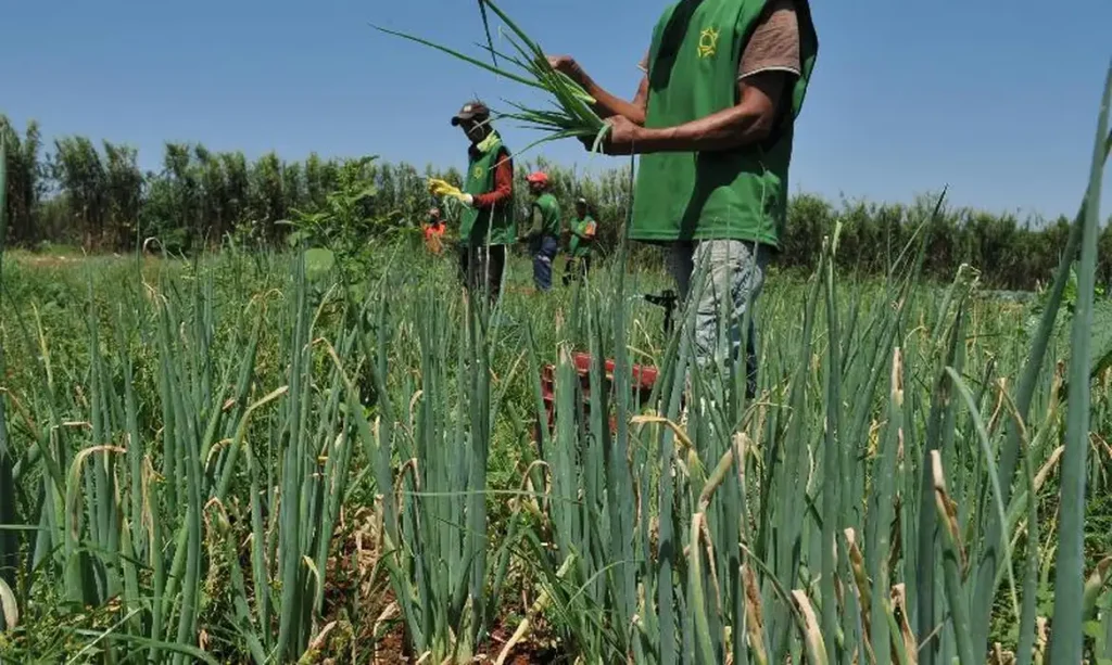 Produtor rural. Foto: Valter Campanato/Agência Brasil