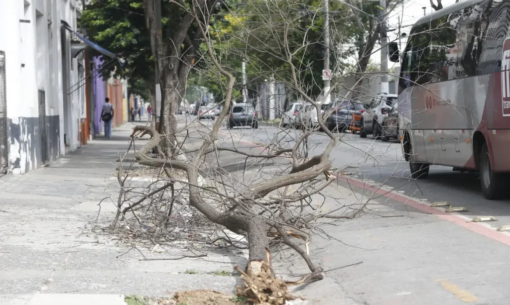 Foto: Paulo Pinto/Agência Brasil