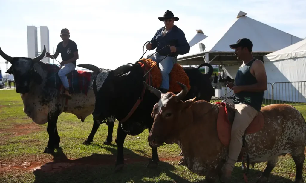 Vaquejada. Foto: José Cruz/Agência Brasil