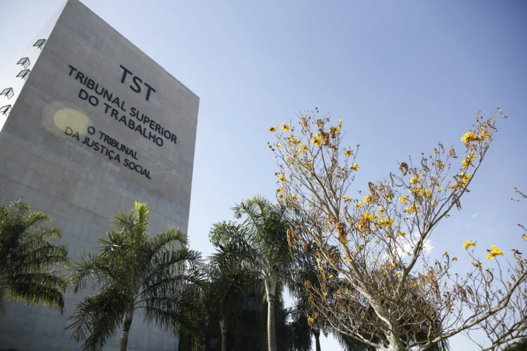 TST-2048×1365.jpg