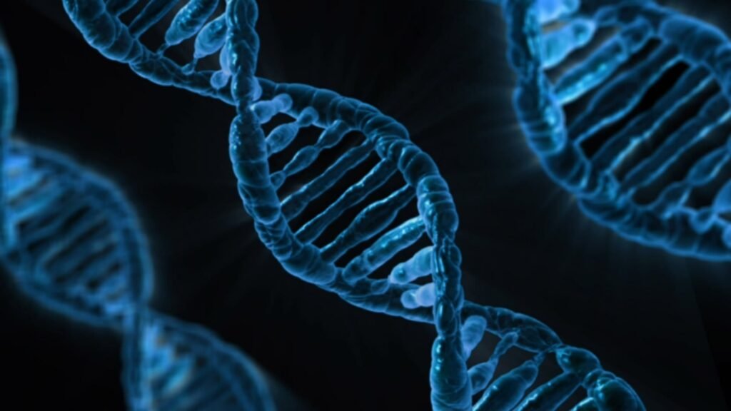 exame, genética, dna