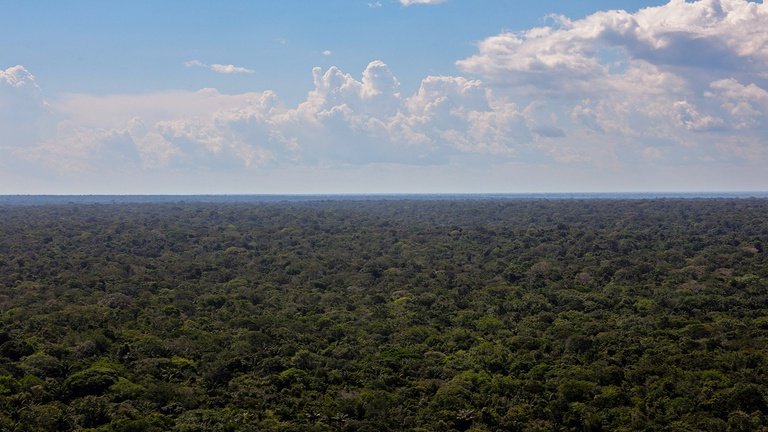 Em menos de um ano, programa da AGU já ajuizou R$ 1,3 bilhão em ações ambientais