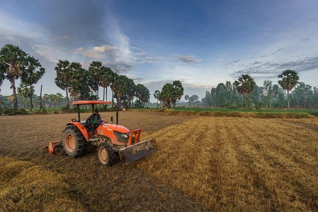campo, agricultura, rural